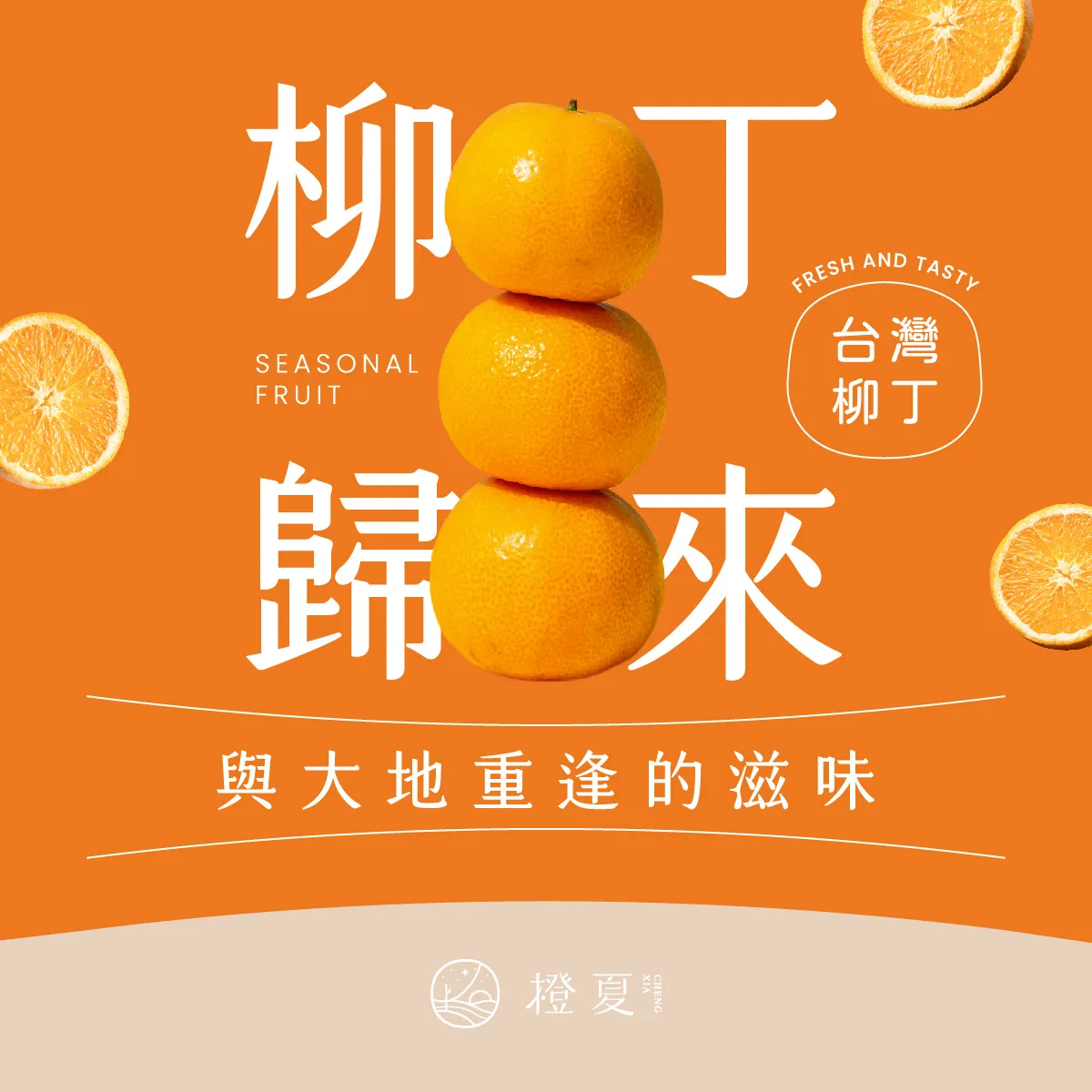 柳丁歸來-cover