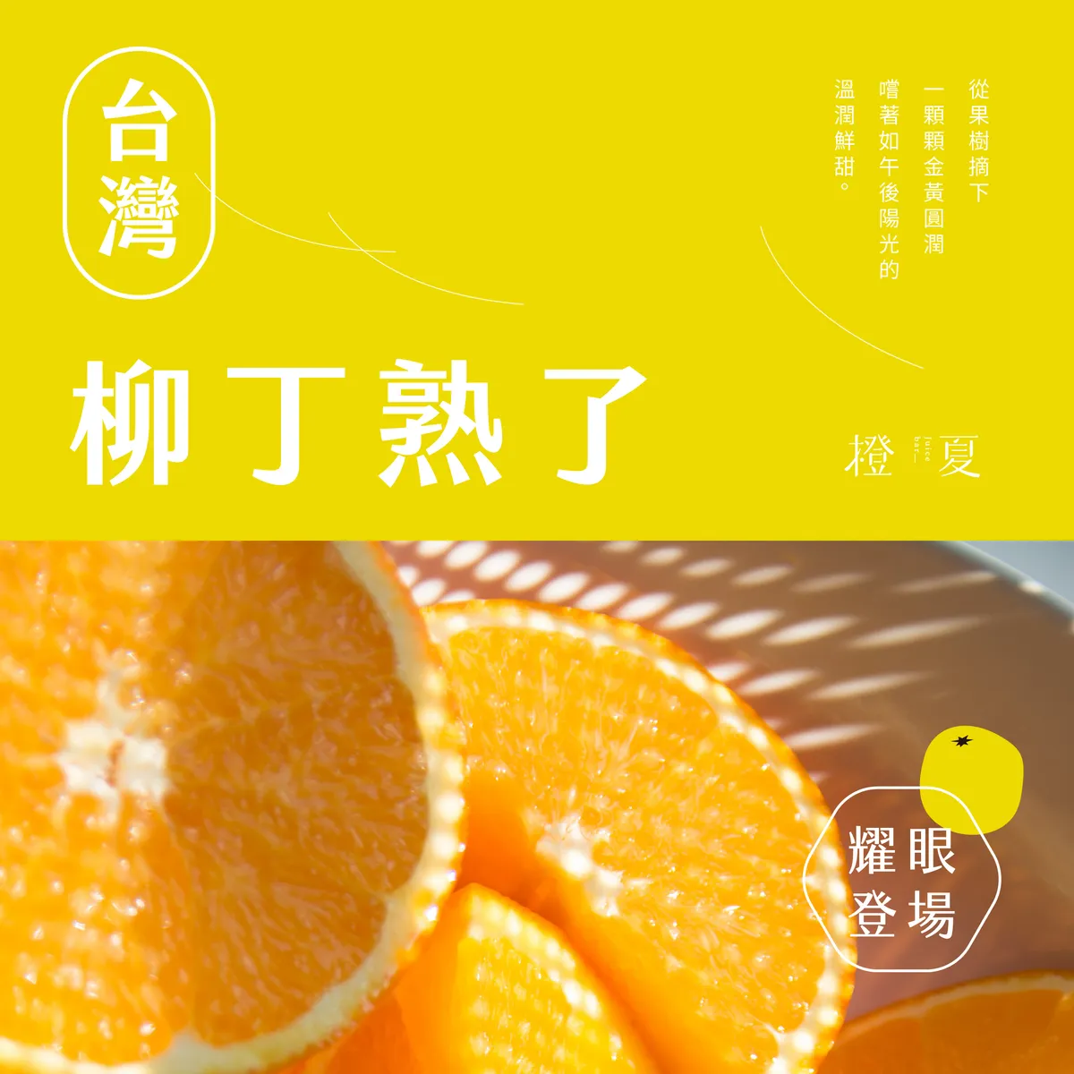 柳丁熟了-cover