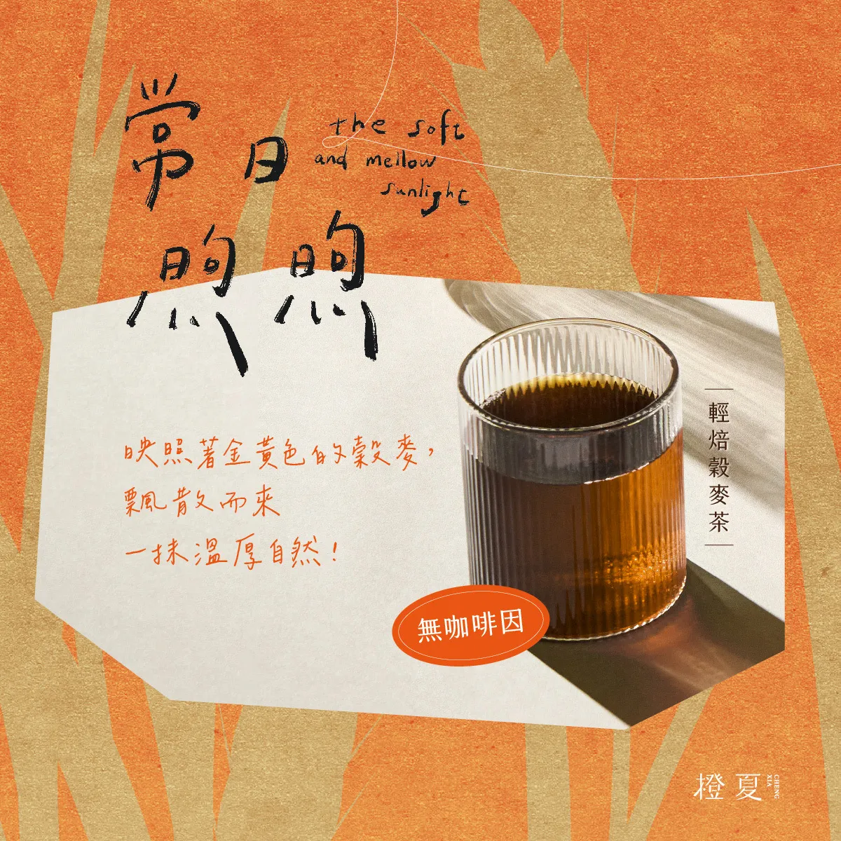新品上市-cover