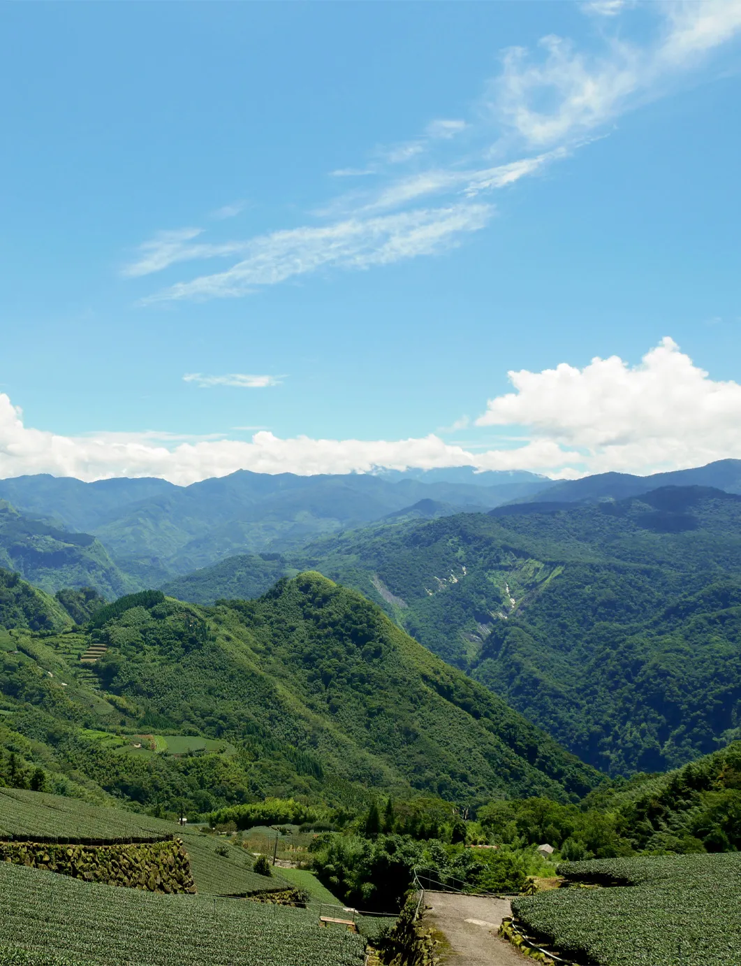 橙夏山景